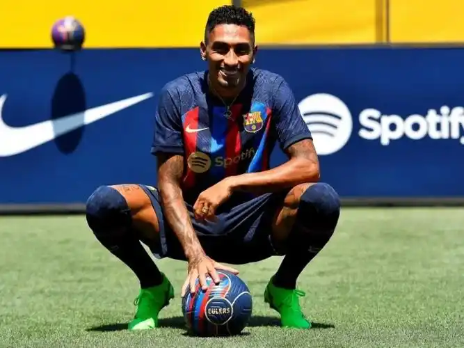 职业生涯的 职业生涯的